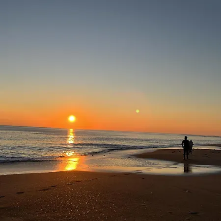 Les Floralies La Tranche-sur-Mer