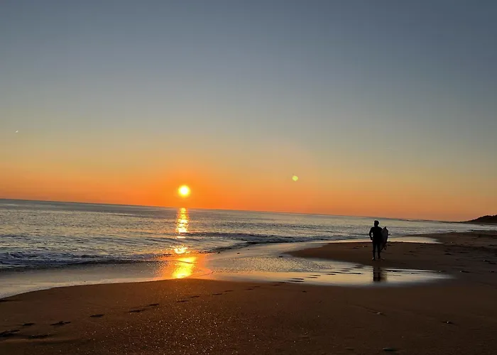 Les Floralies La Tranche-sur-Mer